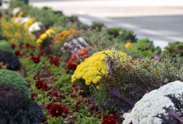 Commercial Landscaping Company in Columbus